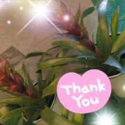 ヒメ日記 2025/02/16 07:02 投稿 体験新人あん 成田人妻最高級倶楽部