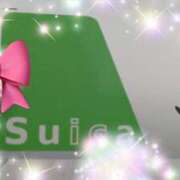 ヒメ日記 2025/02/23 09:15 投稿 体験新人あん 成田人妻最高級倶楽部