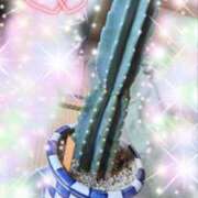 ヒメ日記 2025/03/10 19:52 投稿 体験新人あん 成田人妻最高級倶楽部