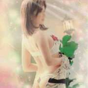 ヒメ日記 2025/04/14 19:30 投稿 体験新人あん 成田人妻最高級倶楽部