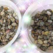 ヒメ日記 2025/05/05 08:15 投稿 体験新人あん 成田人妻最高級倶楽部