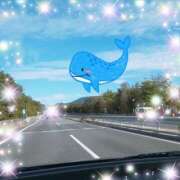 ヒメ日記 2025/06/07 14:15 投稿 体験新人あん 成田人妻最高級倶楽部