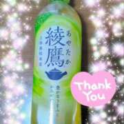 ヒメ日記 2025/06/14 08:30 投稿 体験新人あん 成田人妻最高級倶楽部