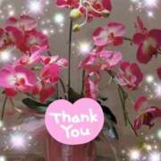 ヒメ日記 2025/06/18 08:15 投稿 体験新人あん 成田人妻最高級倶楽部