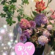 ヒメ日記 2025/06/19 19:01 投稿 体験新人あん 成田人妻最高級倶楽部