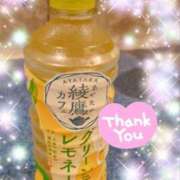 ヒメ日記 2025/07/14 19:30 投稿 体験新人あん 成田人妻最高級倶楽部