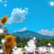 ヒメ日記 2025/07/25 07:45 投稿 体験新人あん 成田人妻最高級倶楽部