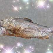 ヒメ日記 2025/07/25 15:15 投稿 体験新人あん 成田人妻最高級倶楽部