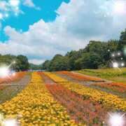 ヒメ日記 2025/08/05 19:15 投稿 体験新人あん 成田人妻最高級倶楽部