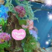 ヒメ日記 2025/08/06 08:15 投稿 体験新人あん 成田人妻最高級倶楽部