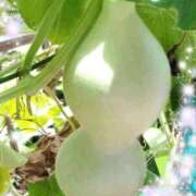 ヒメ日記 2025/08/10 15:00 投稿 体験新人あん 成田人妻最高級倶楽部