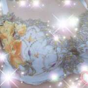 ヒメ日記 2025/08/22 07:45 投稿 体験新人あん 成田人妻最高級倶楽部