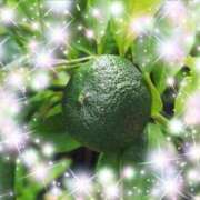 ヒメ日記 2025/09/02 07:45 投稿 体験新人あん 成田人妻最高級倶楽部