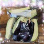 ヒメ日記 2025/09/18 07:30 投稿 体験新人あん 成田人妻最高級倶楽部