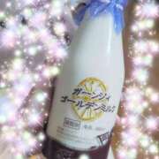 ヒメ日記 2025/09/28 07:15 投稿 体験新人あん 成田人妻最高級倶楽部