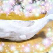 ヒメ日記 2025/09/28 16:09 投稿 体験新人あん 成田人妻最高級倶楽部