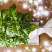 ヒメ日記 2025/09/29 07:20 投稿 体験新人あん 成田人妻最高級倶楽部