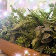 ヒメ日記 2025/10/01 07:30 投稿 体験新人あん 成田人妻最高級倶楽部