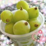 ヒメ日記 2025/10/03 19:45 投稿 体験新人あん 成田人妻最高級倶楽部