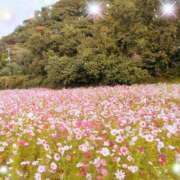 ヒメ日記 2025/10/13 07:15 投稿 体験新人あん 成田人妻最高級倶楽部