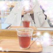 ヒメ日記 2026/01/08 18:15 投稿 体験新人あん 成田人妻最高級倶楽部