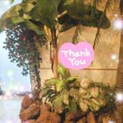 ヒメ日記 2026/01/21 15:15 投稿 体験新人あん 成田人妻最高級倶楽部