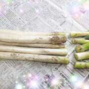 ヒメ日記 2026/02/11 17:15 投稿 体験新人あん 成田人妻最高級倶楽部