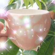 ヒメ日記 2026/02/13 07:15 投稿 体験新人あん 成田人妻最高級倶楽部