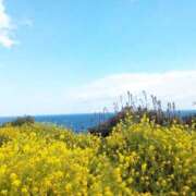 ヒメ日記 2026/02/24 07:15 投稿 体験新人あん 成田人妻最高級倶楽部