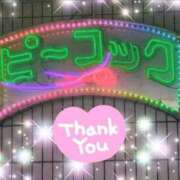 ヒメ日記 2026/02/25 11:31 投稿 体験新人あん 成田人妻最高級倶楽部