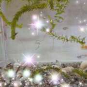 ヒメ日記 2026/03/14 21:45 投稿 体験新人あん 成田人妻最高級倶楽部