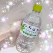 ヒメ日記 2026/03/19 07:15 投稿 体験新人あん 成田人妻最高級倶楽部