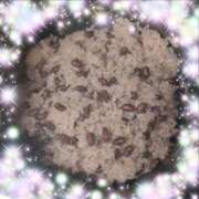 ヒメ日記 2026/03/23 12:15 投稿 体験新人あん 成田人妻最高級倶楽部