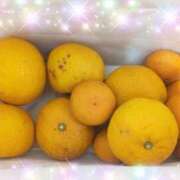 ヒメ日記 2026/04/11 11:30 投稿 体験新人あん 成田人妻最高級倶楽部