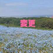 ヒメ日記 2026/05/24 07:49 投稿 体験新人あん 成田人妻最高級倶楽部