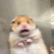 しう 敗北致しました。 西船巨乳ぽっちゃり　乳神さま