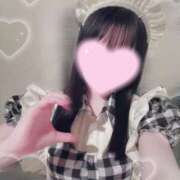 ヒメ日記 2025/02/24 08:00 投稿 こと ナイスディ