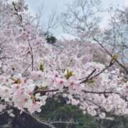 ヒメ日記 2025/04/21 06:00 投稿 こと ナイスディ