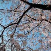 こと 生存確認🙂‍↕️🫶🏻 ナイスディ