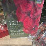 ヒメ日記 2024/12/11 18:52 投稿 辻村七海(つじむらななみ) 東京ヒストリー　秘密の約束