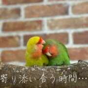 ヒメ日記 2024/12/12 07:02 投稿 辻村七海(つじむらななみ) 東京ヒストリー　秘密の約束