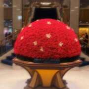 ヒメ日記 2024/12/12 16:22 投稿 辻村七海(つじむらななみ) 東京ヒストリー　秘密の約束