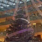 ヒメ日記 2024/12/14 17:42 投稿 辻村七海(つじむらななみ) 東京ヒストリー　秘密の約束