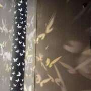 ヒメ日記 2024/12/15 17:52 投稿 辻村七海(つじむらななみ) 東京ヒストリー　秘密の約束