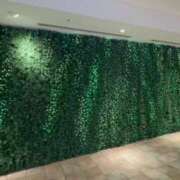 ヒメ日記 2025/01/29 17:52 投稿 辻村七海(つじむらななみ) 東京ヒストリー　秘密の約束