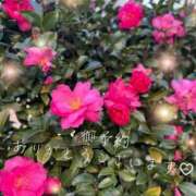 ヒメ日記 2025/02/03 13:03 投稿 辻村七海(つじむらななみ) 東京ヒストリー　秘密の約束