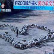 ヒメ日記 2025/02/11 09:03 投稿 辻村七海(つじむらななみ) 東京ヒストリー　秘密の約束