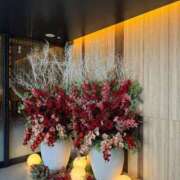 ヒメ日記 2025/02/13 16:22 投稿 辻村七海(つじむらななみ) 東京ヒストリー　秘密の約束