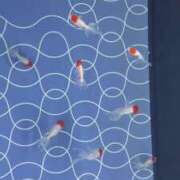 ヒメ日記 2025/04/01 17:22 投稿 辻村七海(つじむらななみ) 東京ヒストリー　秘密の約束