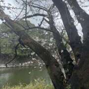 ヒメ日記 2025/04/03 19:42 投稿 辻村七海(つじむらななみ) 東京ヒストリー　秘密の約束